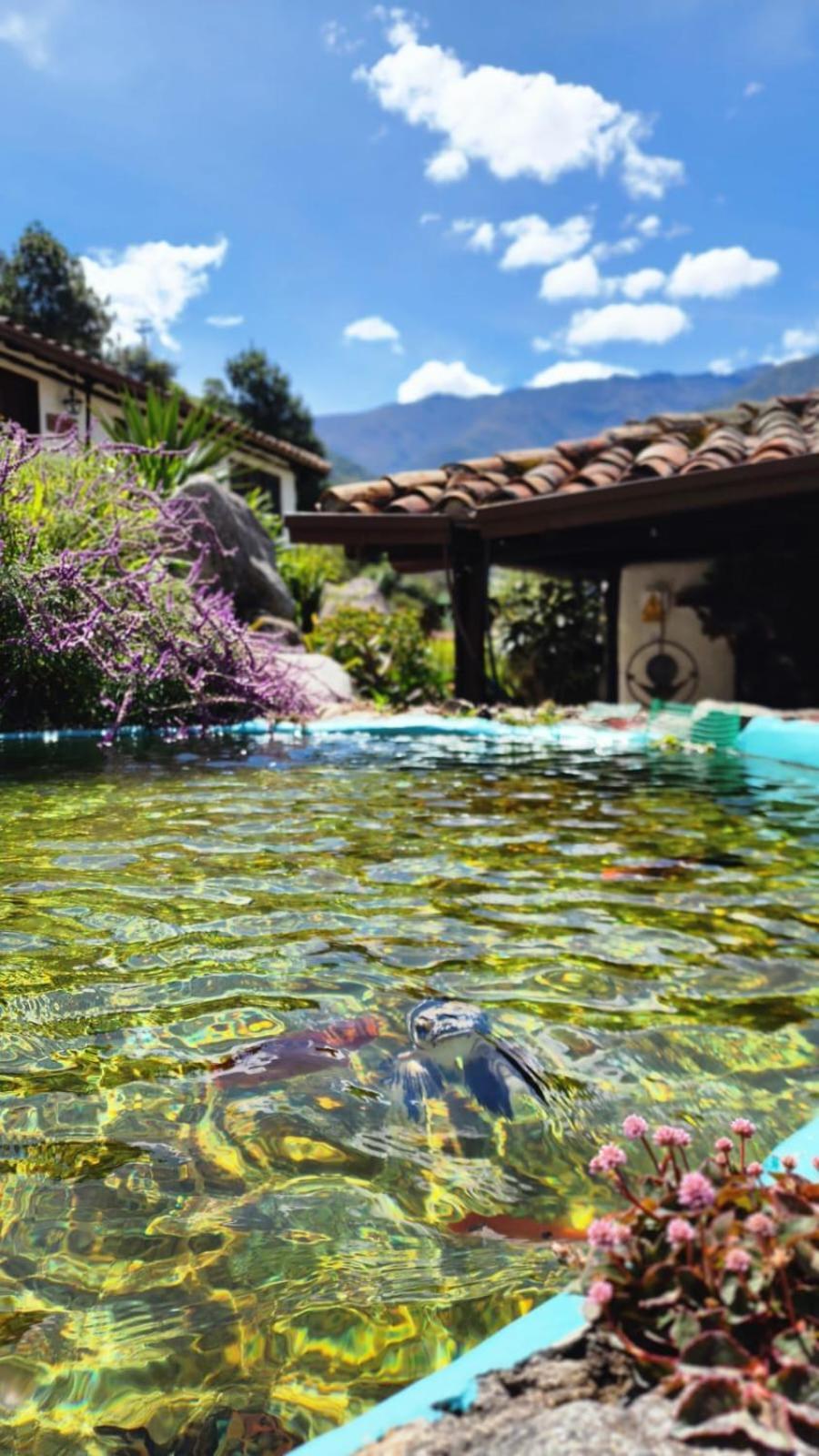 Estancia La Canada Мерида Экстерьер фото